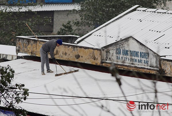 Những cung đường tuyết trên đỉnh núi Lào Cai - 11