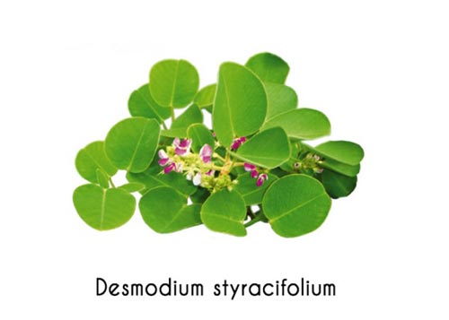 Cách chữa sỏi thận đơn giản và hiệu quả tại nhà - 1