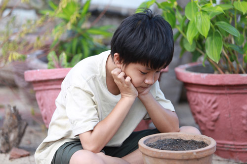 Xúc động với phim Tết “Mầm lộc an lành” - 3