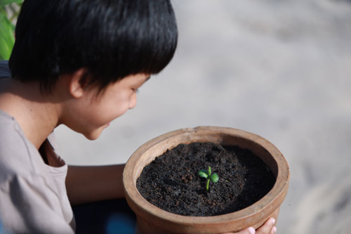 Xúc động với phim Tết “Mầm lộc an lành” - 5