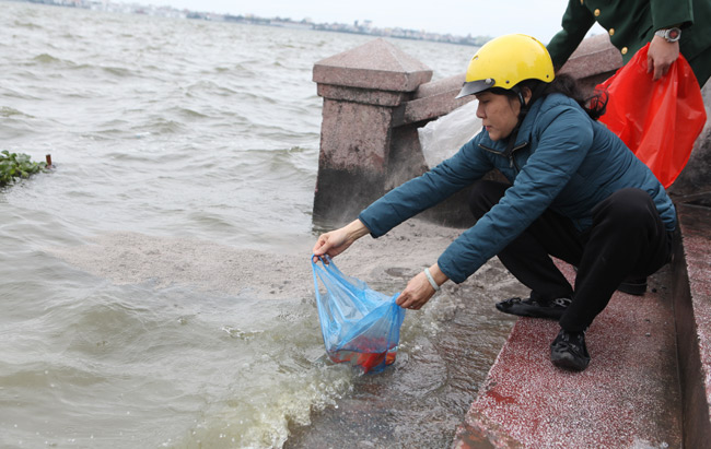 Ra Hồ Tây, cá chép Ông Táo gặp sóng to, gió lớn - 6