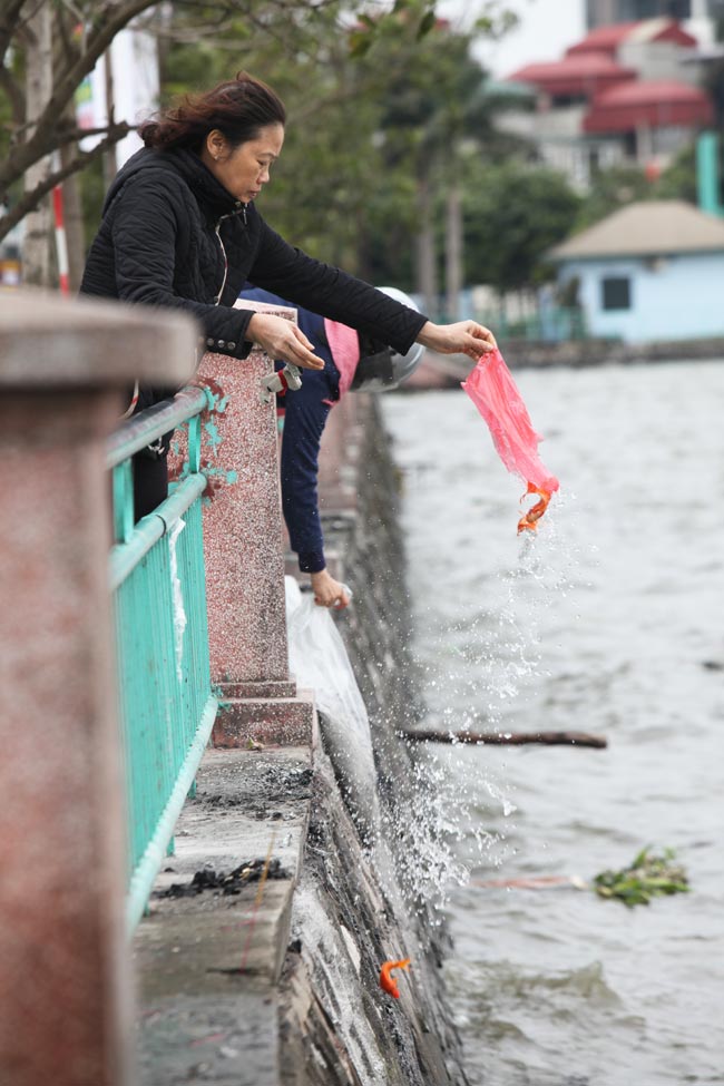 Ra Hồ Tây, cá chép Ông Táo gặp sóng to, gió lớn - 7