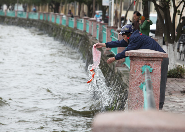 Ra Hồ Tây, cá chép Ông Táo gặp sóng to, gió lớn - 8