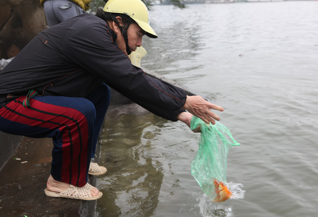 Ra Hồ Tây, cá chép Ông Táo gặp sóng to, gió lớn - 14