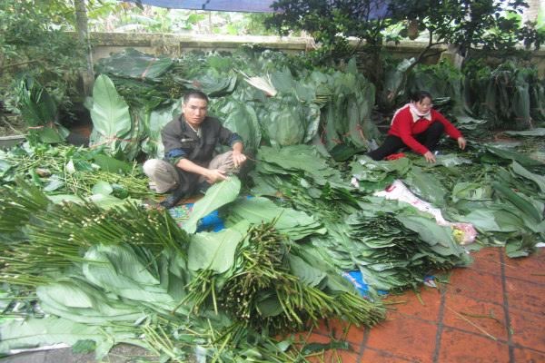 Về làng mỗi người gói hàng nghìn bánh chưng mùa Tết - 2