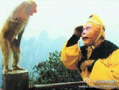 Hé lộ ảnh thời trẻ của 'Ngộ Không' Lục Tiểu Linh Đồng - 9