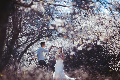 Cặp đôi Hà thành lãng mạn giữa rừng hoa mận trắng muốt - 1