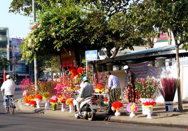 Những ngày giáp Tết Nguyên đán 2016, trên nhiều tuyến đường ở thành phố Nha Trang (Khánh Hòa), các nghệ nhân đang hối hả “trang điểm” những chùm đèn, hoa màu rực rỡ để người dân chào đón xuân mới.
