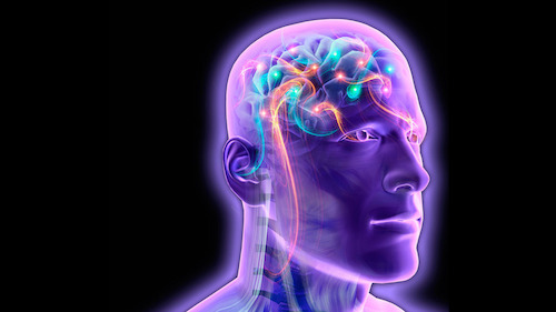 Hệ thống máy tính giúp đọc suy nghĩ con người bằng điện não - 1