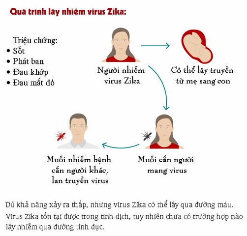 7 điều cần biết về virus “ăn não” Zika đang lan toàn cầu - 3