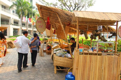 Ngắm cảnh làng quê Việt Nam ở khu nhà giàu - 8