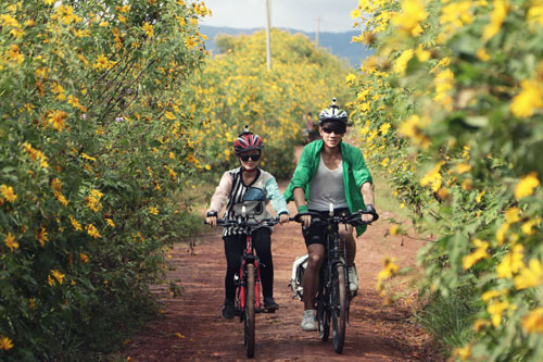 Lincoln Thúc Lĩnh ngỡ ngàng với vẻ đẹp lần đầu khám phá của Phú Yên-Đà Lạt - 3