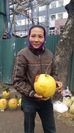 Sự thật bưởi thờ Kỳ Đà 5kg bán tiền triệu ở vỉa hè - 2