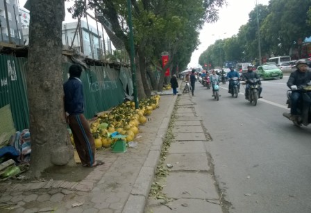 Sự thật bưởi thờ Kỳ Đà 5kg bán tiền triệu ở vỉa hè - 4
