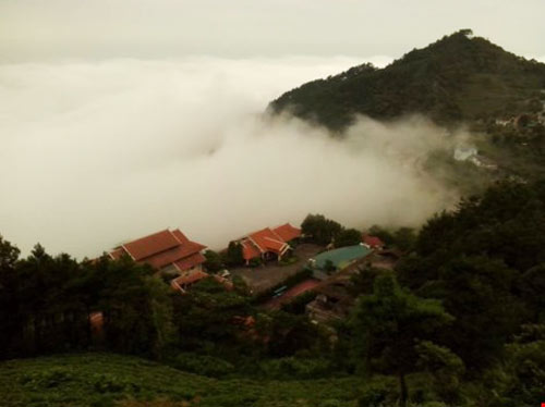 Tết này lên Tam Đảo "săn" mây - 12