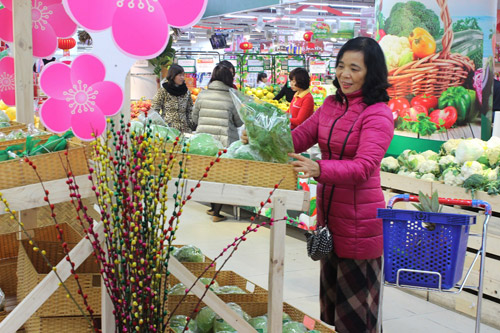 VinEco ra mắt Bộ sản phẩm Rau Củ Quả Tết Bính Thân 2016 - 1