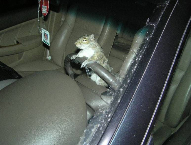 Như thế này thì anh em đỡ làm sao nổi - 9