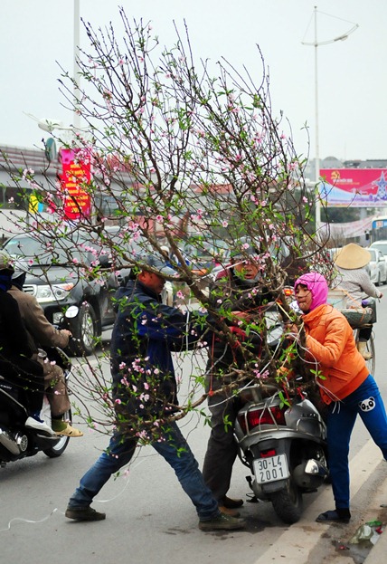 Hà Nội: Sắc đào &#34;nhuộm&#34; đỏ chợ hoa Quảng Bá - 11