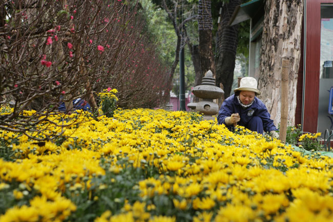 Hà Nội ngập tràn không khí Tết - 2