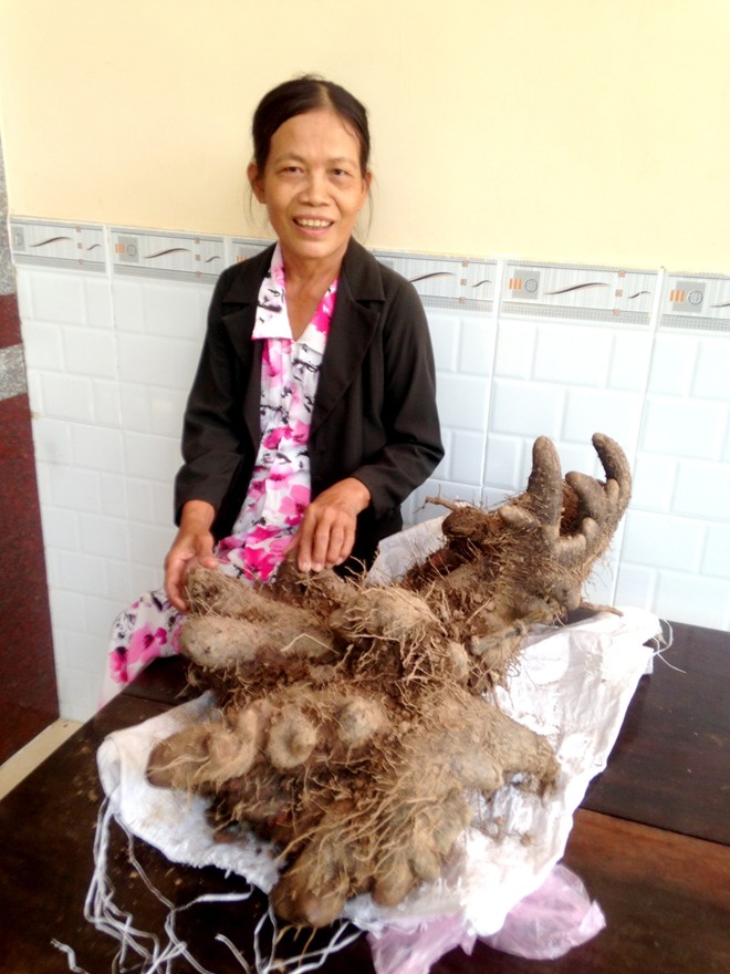 Chuyện kỳ lạ về những củ khoai độc nhất vô nhị - 4