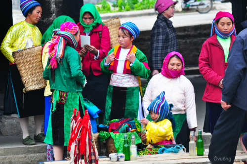 Ngắm 'thiên đường hoa' trên cao nguyên đá - 4