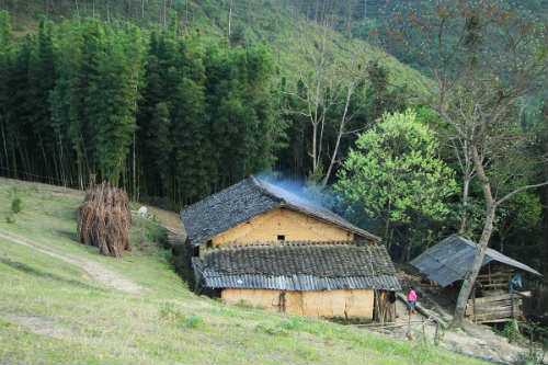 Ngắm 'thiên đường hoa' trên cao nguyên đá - 5