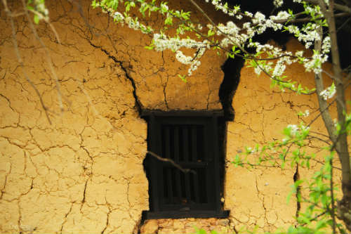 Ngắm 'thiên đường hoa' trên cao nguyên đá - 9