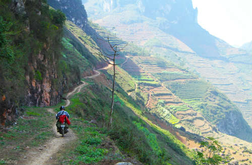Ngắm 'thiên đường hoa' trên cao nguyên đá - 15