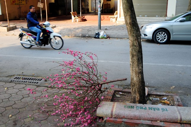 Sau Tết, rác đào, quất tràn ngập phố phường Hà Nội - 6