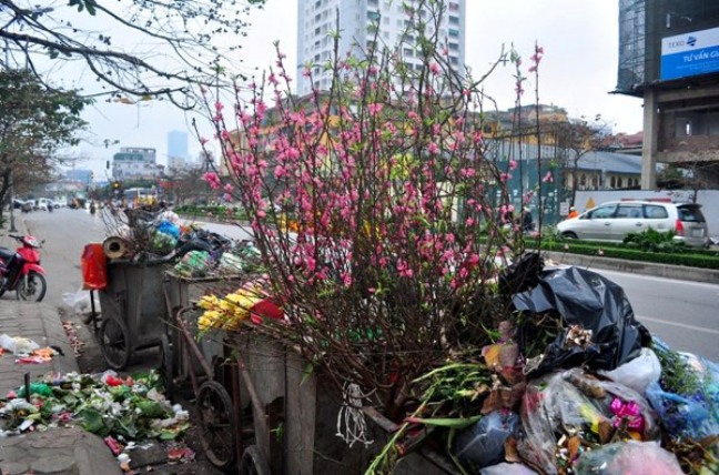 Sau Tết, rác đào, quất tràn ngập phố phường Hà Nội - 8