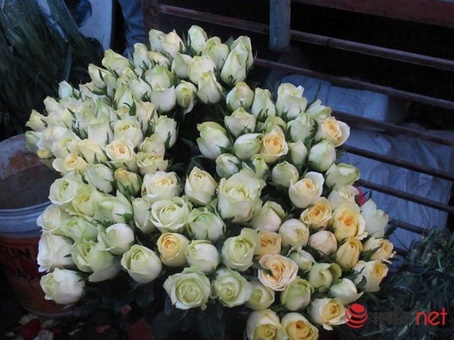 Khan hiếm, hoa hồng Valentine tăng giá mạnh - 1