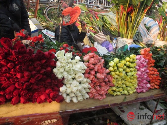 Khan hiếm, hoa hồng Valentine tăng giá mạnh - 2