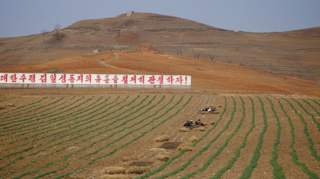 Kim Jong-un ra lệnh tích trữ lương thực 3 năm tới - 2