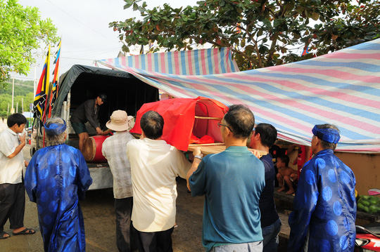 Cá voi “lụy” dạt vào bờ biển Quy Nhơn - 8