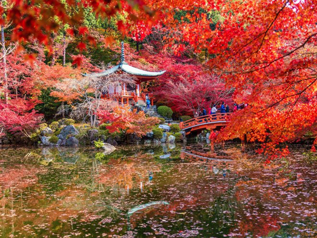 Kyoto, Nhật Bản: Đây là năm thứ hai liên tiếp thành phố Kyoto được du khách bình chọn là thành phố lý tưởng nhất theo trang web Travel and Leisure. Thành phố có bề dày lịch sử đồ sộ và có nhiều đền thờ, chợ và công viên.
