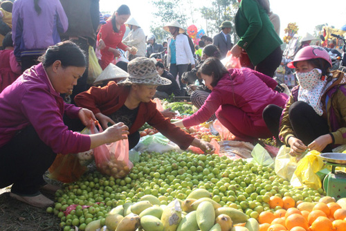 Lễ hội ném cà chua Thanh Hóa "gặp khó" vì cà chua tăng giá - 5