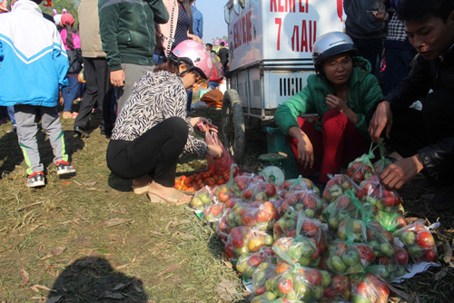 Lễ hội ném cà chua Thanh Hóa "gặp khó" vì cà chua tăng giá - 8