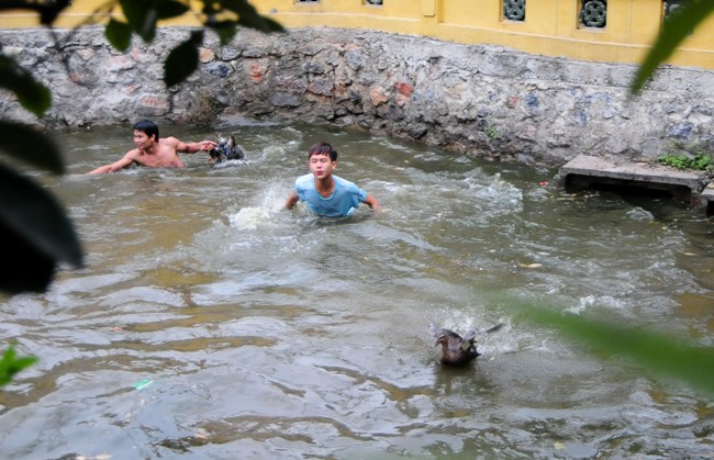 HN: Trai làng cởi trần bắt vịt trong cái lạnh cắt da - 4