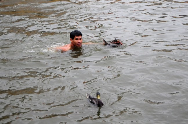 HN: Trai làng cởi trần bắt vịt trong cái lạnh cắt da - 6