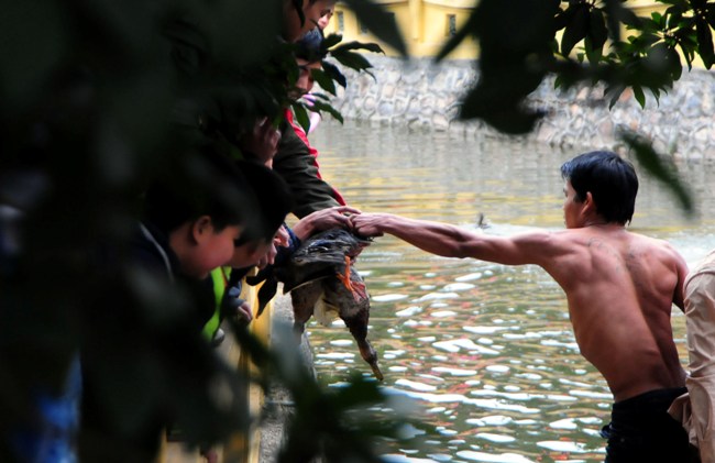 HN: Trai làng cởi trần bắt vịt trong cái lạnh cắt da - 13