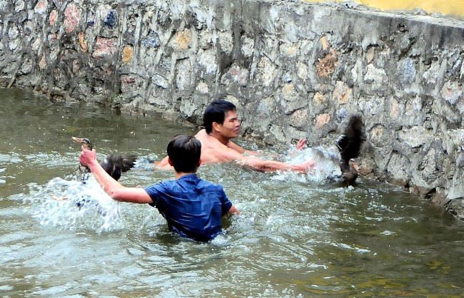 HN: Trai làng cởi trần bắt vịt trong cái lạnh cắt da - 7