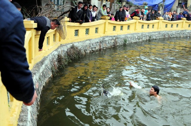 HN: Trai làng cởi trần bắt vịt trong cái lạnh cắt da - 8