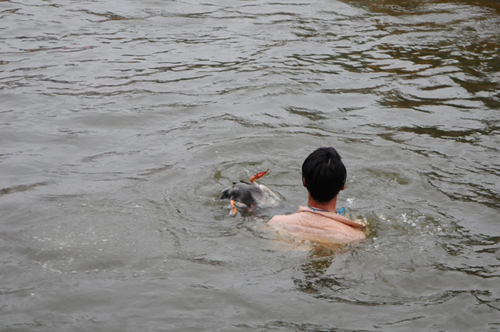 HN: Trai làng cởi trần bắt vịt trong cái lạnh cắt da - 14