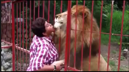 Clip: Chúa tể rừng xanh ôm hôn thắm thiết ân nhân - 4