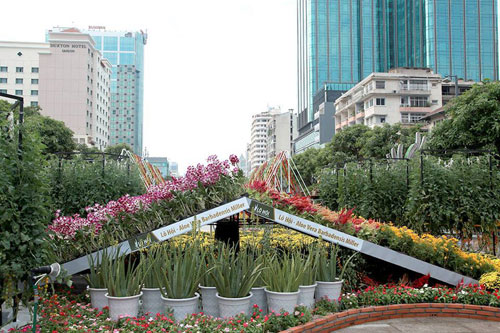 Rực rỡ sắc hoa trên đường Nguyễn Huệ - 1