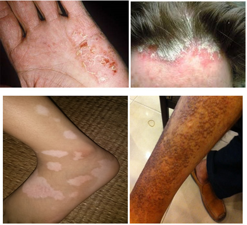 Bảo Thanh Đường - nơi chữa bệnh uy tín - 2