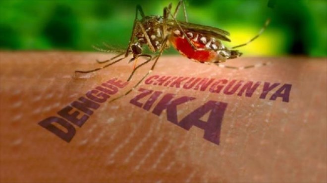 Thiết lập 8 điểm giám sát trọng điểm virus Zika tại khu vực phía Nam - 1