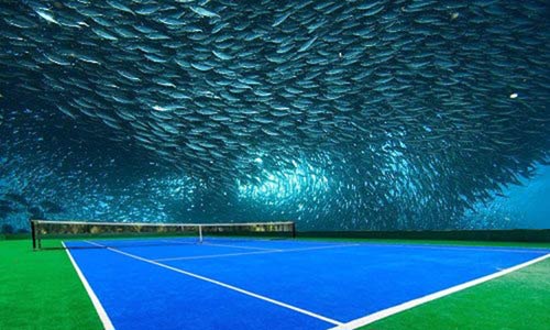 Sân tennis dưới đáy biển: 2,5 tỷ đô cho lịch sử - 1