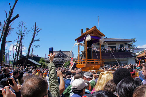 Khám phá lễ hội rước “của quý” khổng lồ ở Nhật Bản - 1