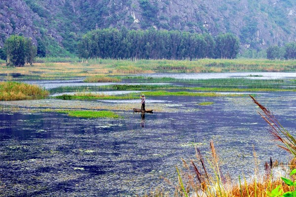 "Sẽ bí mật mọi cảnh quay phim King Kong tại Việt Nam" - 2
